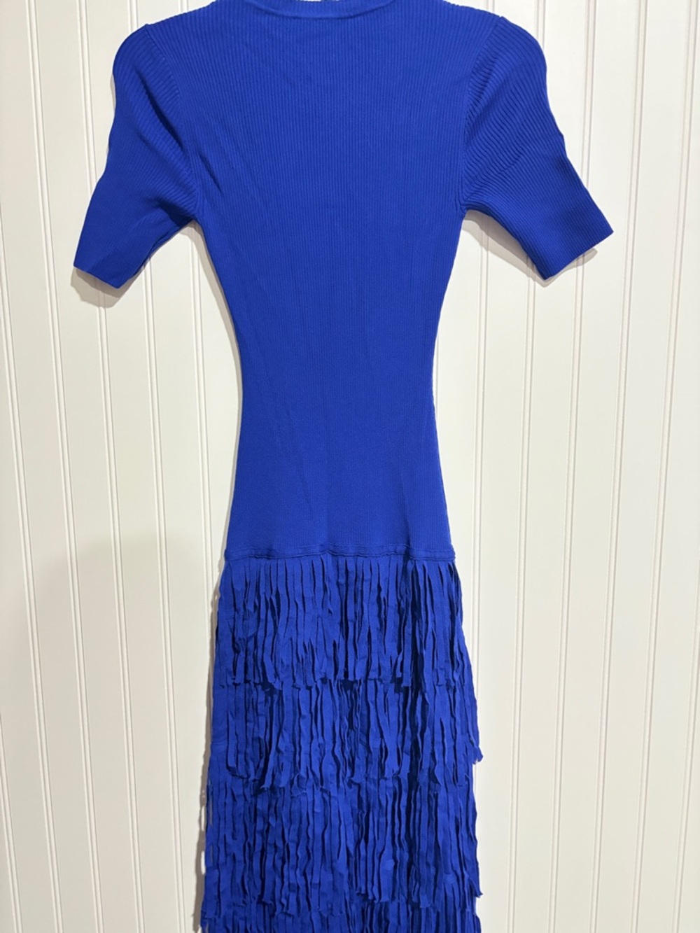 Simon Miller Electric Blue Ribbed Knit Dress with Fringe - Picture 8 of 9